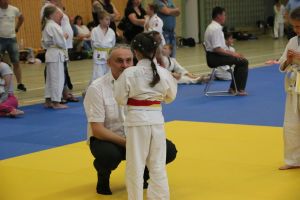 tl_files/judoka_stade/2018/Bilder/2018 06 Carsten Kampfrichter.JPG